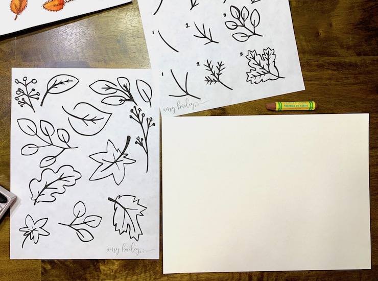 how to draw leaves project set up