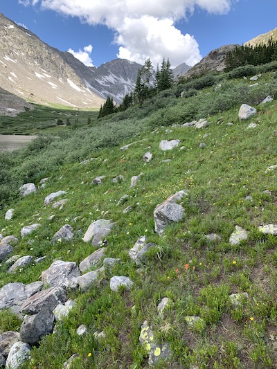 hiking view, connect to nature with art