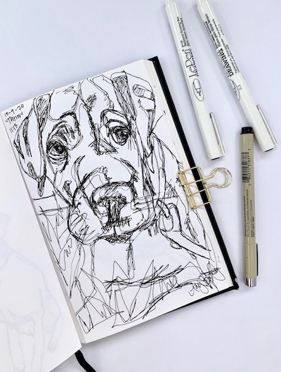 continuous contour line drawing by amy bailey, improve your drawing skills
